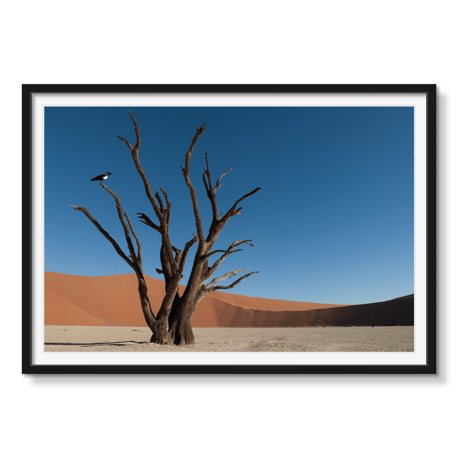 DEAD VLEI 8 - Beauty Of Impermanence