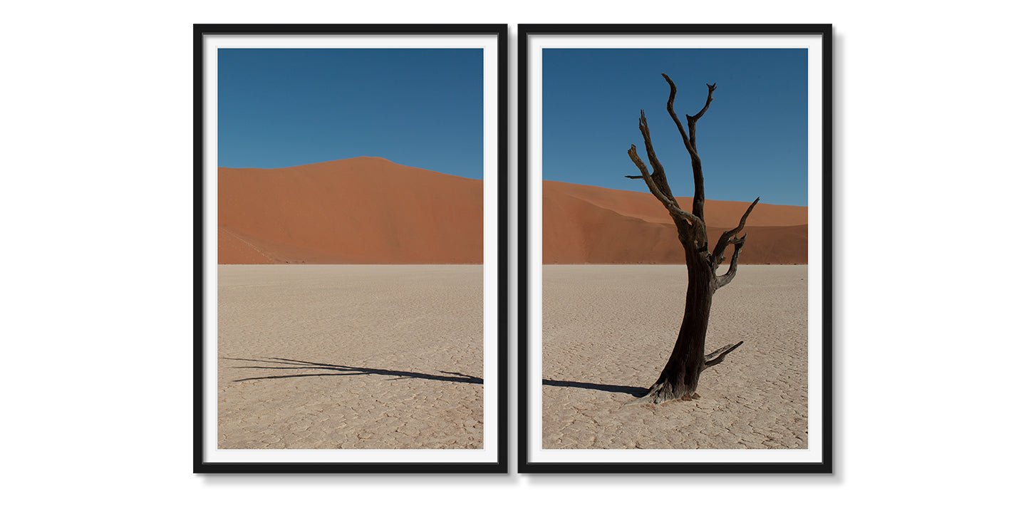 DEAD VLEI DIPTYCH - Beauty Of Impermanence