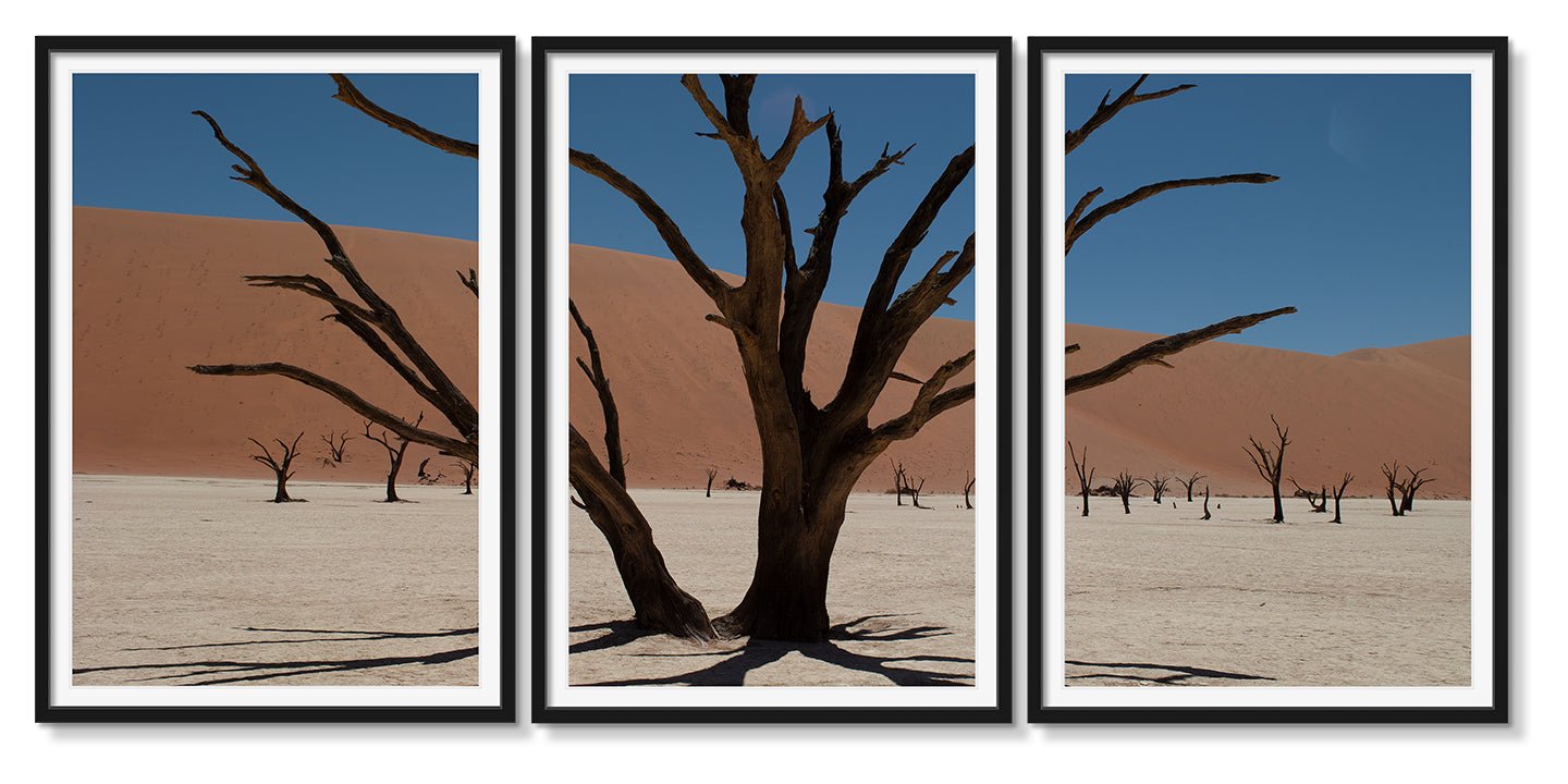 DEAD VLEI TRIPTYCH - Beauty Of Impermanence