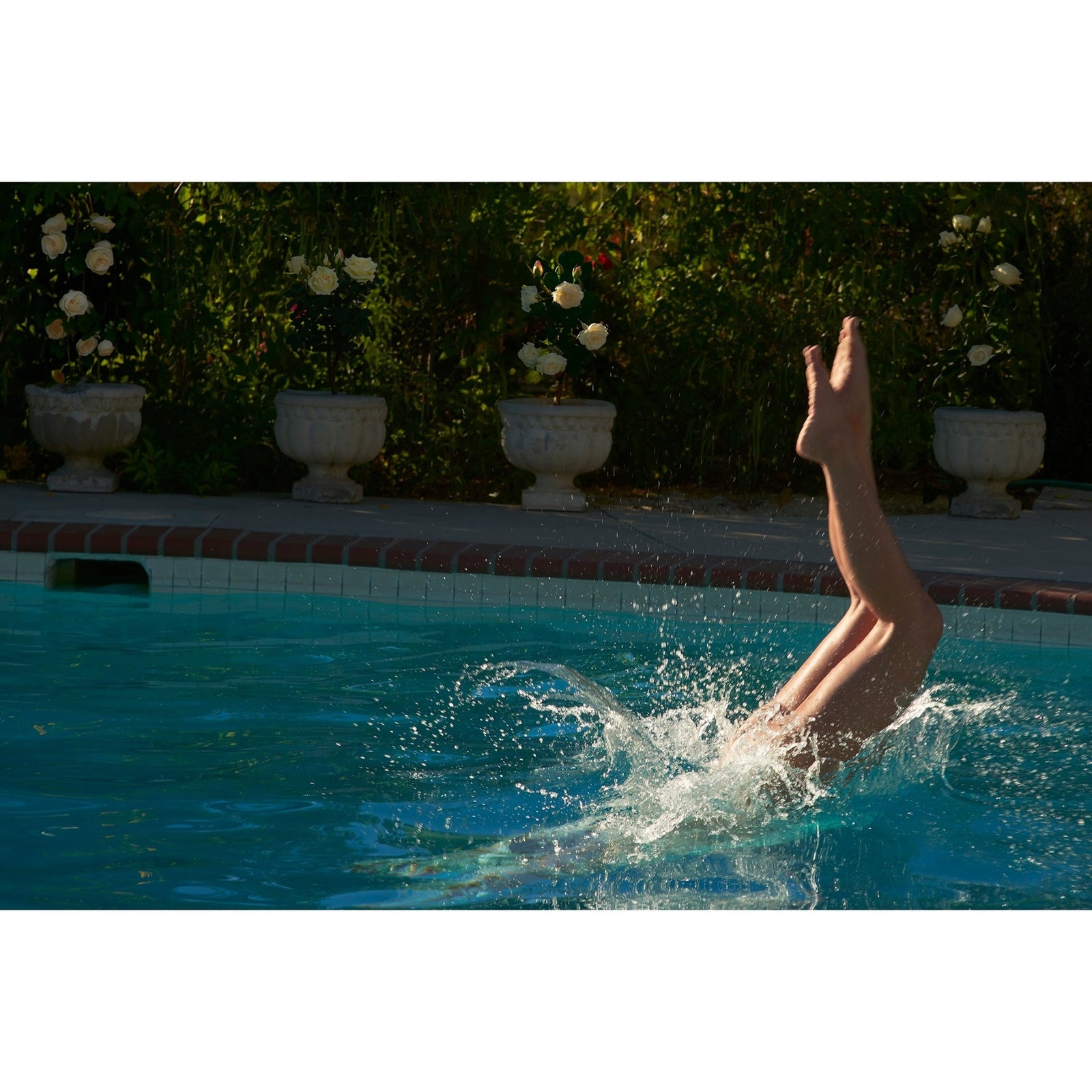 DIVE IN - Beauty Of Impermanence