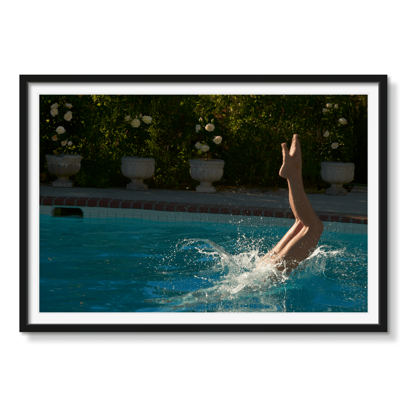 DIVE IN - Beauty Of Impermanence