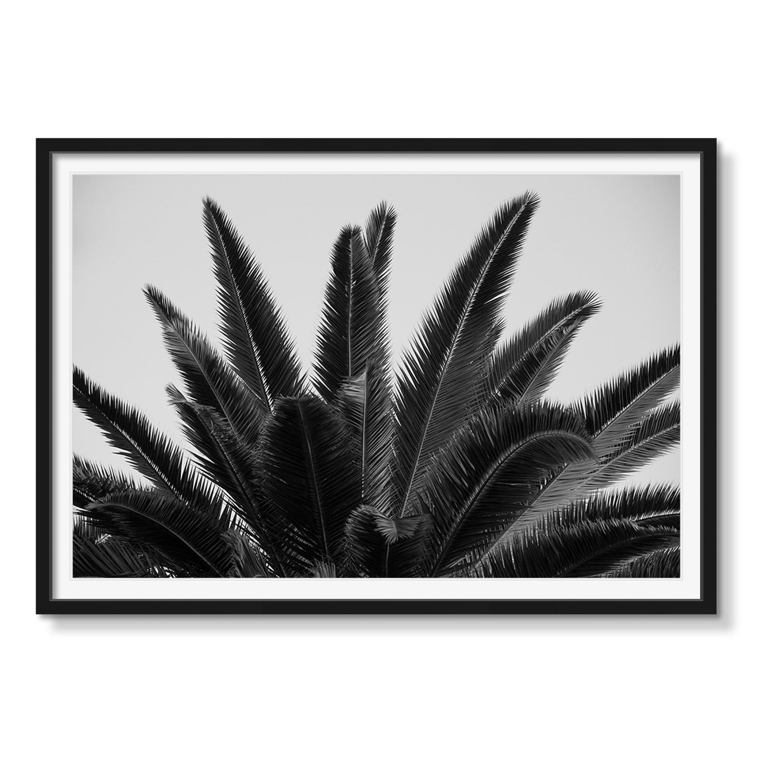 ELEVATE - Beauty Of Impermanence