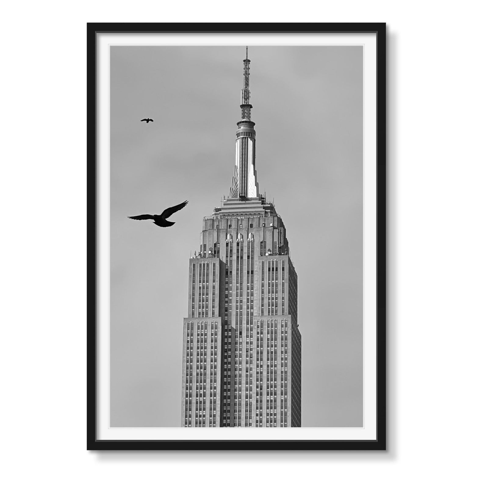 EMPIRE STATE - Beauty Of Impermanence