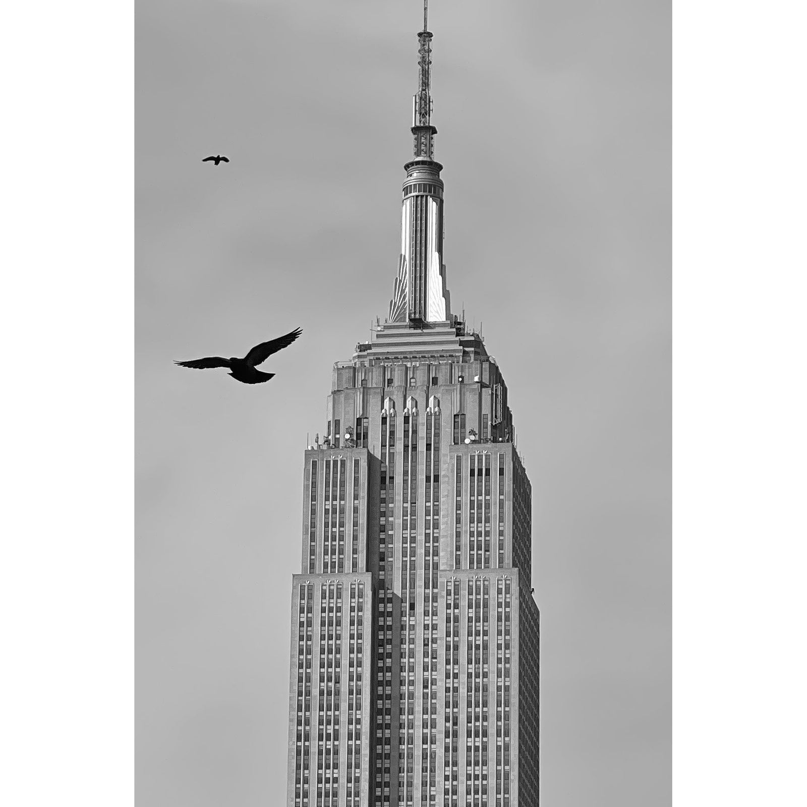 EMPIRE STATE - Beauty Of Impermanence