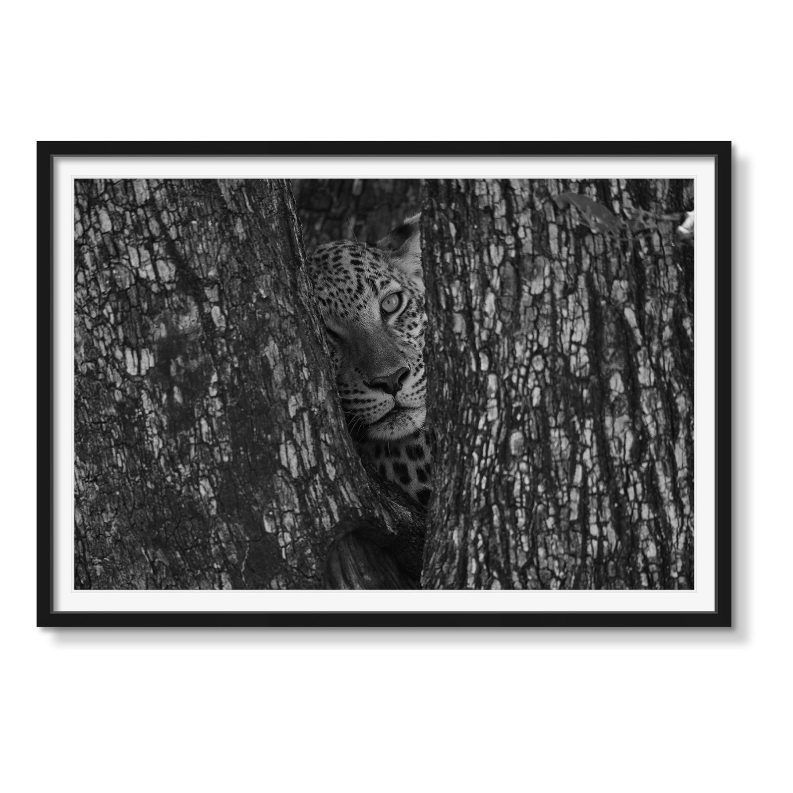 EYE TO EYE - Beauty Of Impermanence