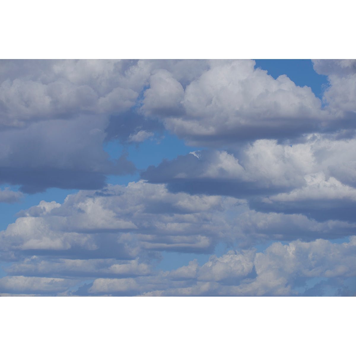 FLUFFY - Beauty Of Impermanence