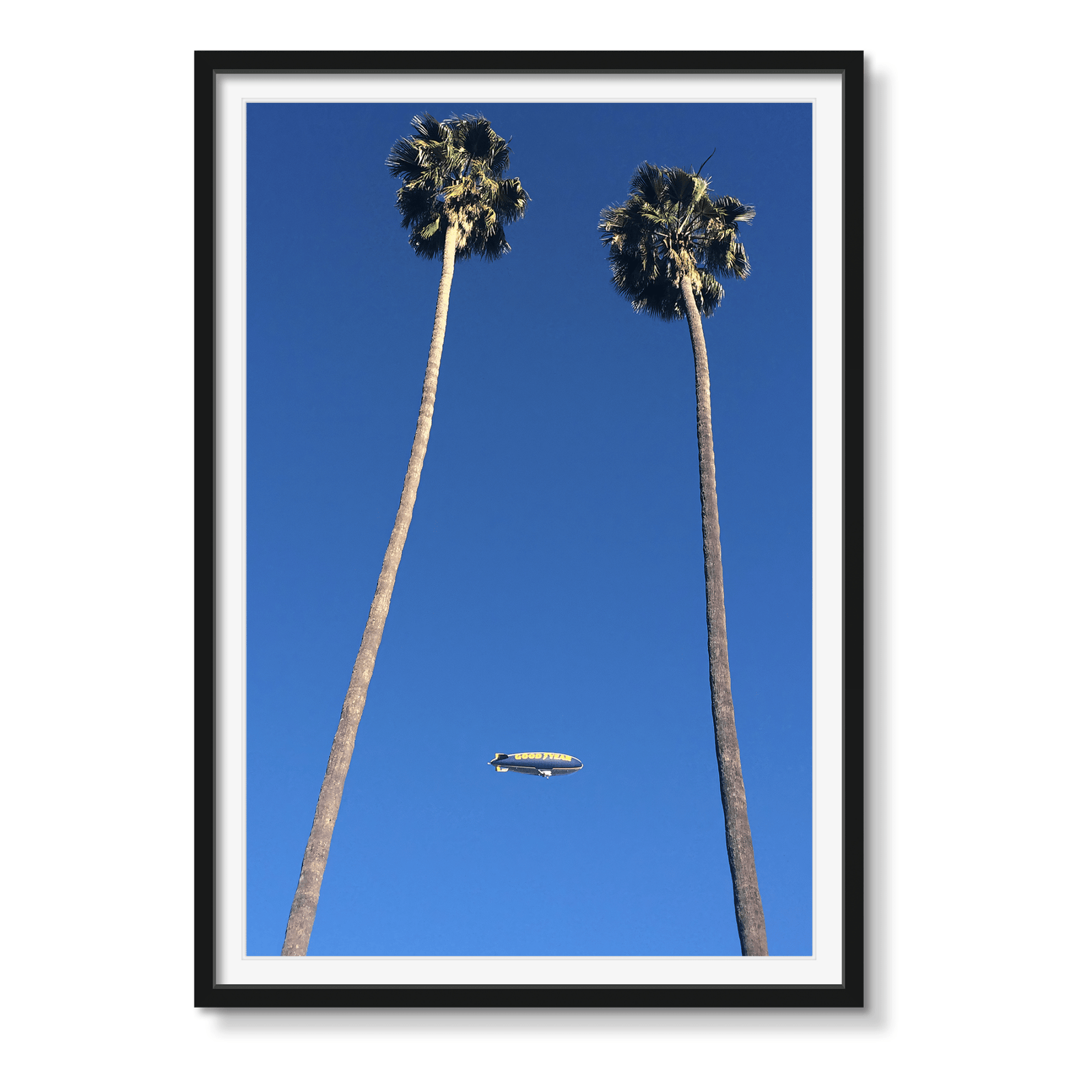 GOODYEAR - Beauty Of Impermanence