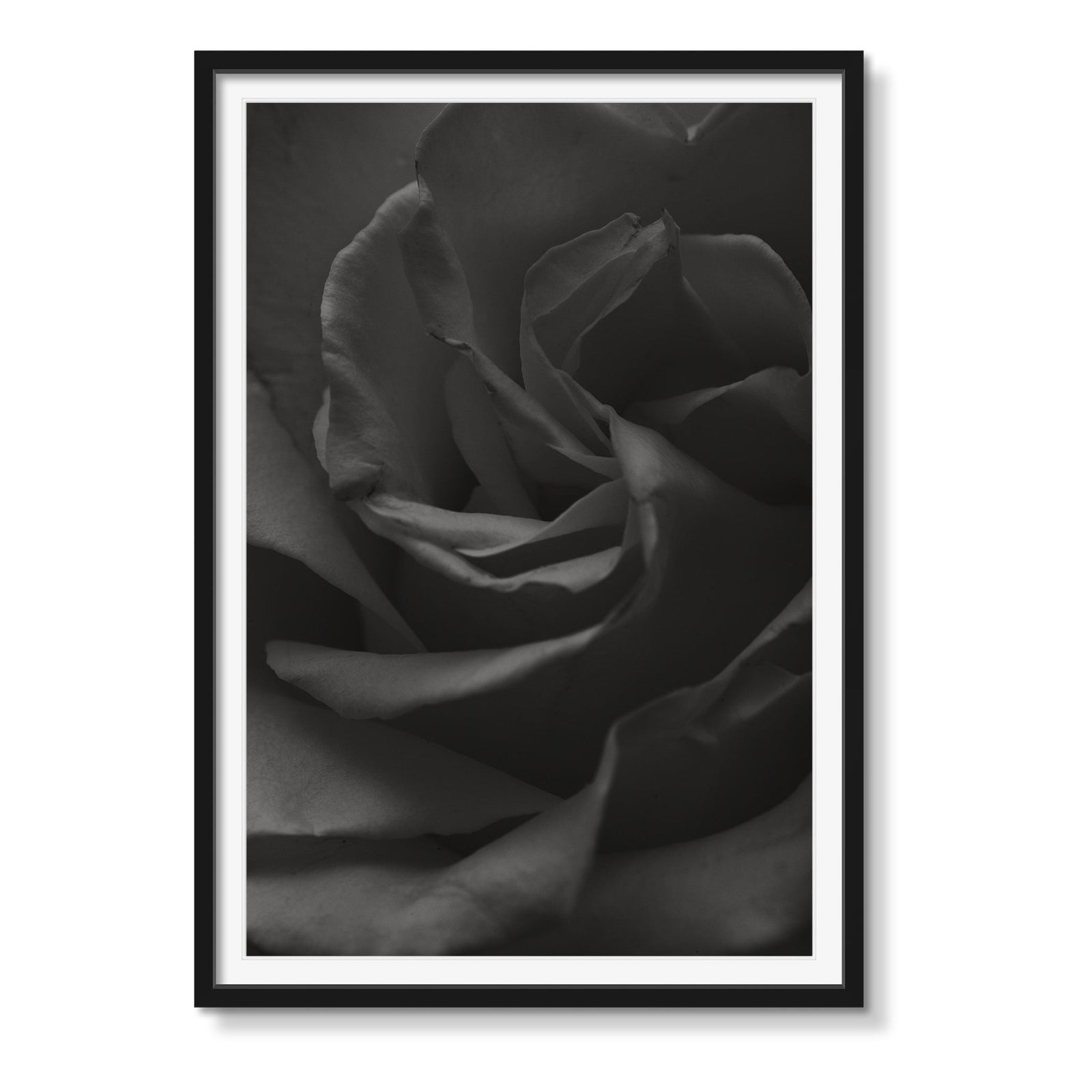 I NEVER PROMISED YOU.. - Beauty Of Impermanence